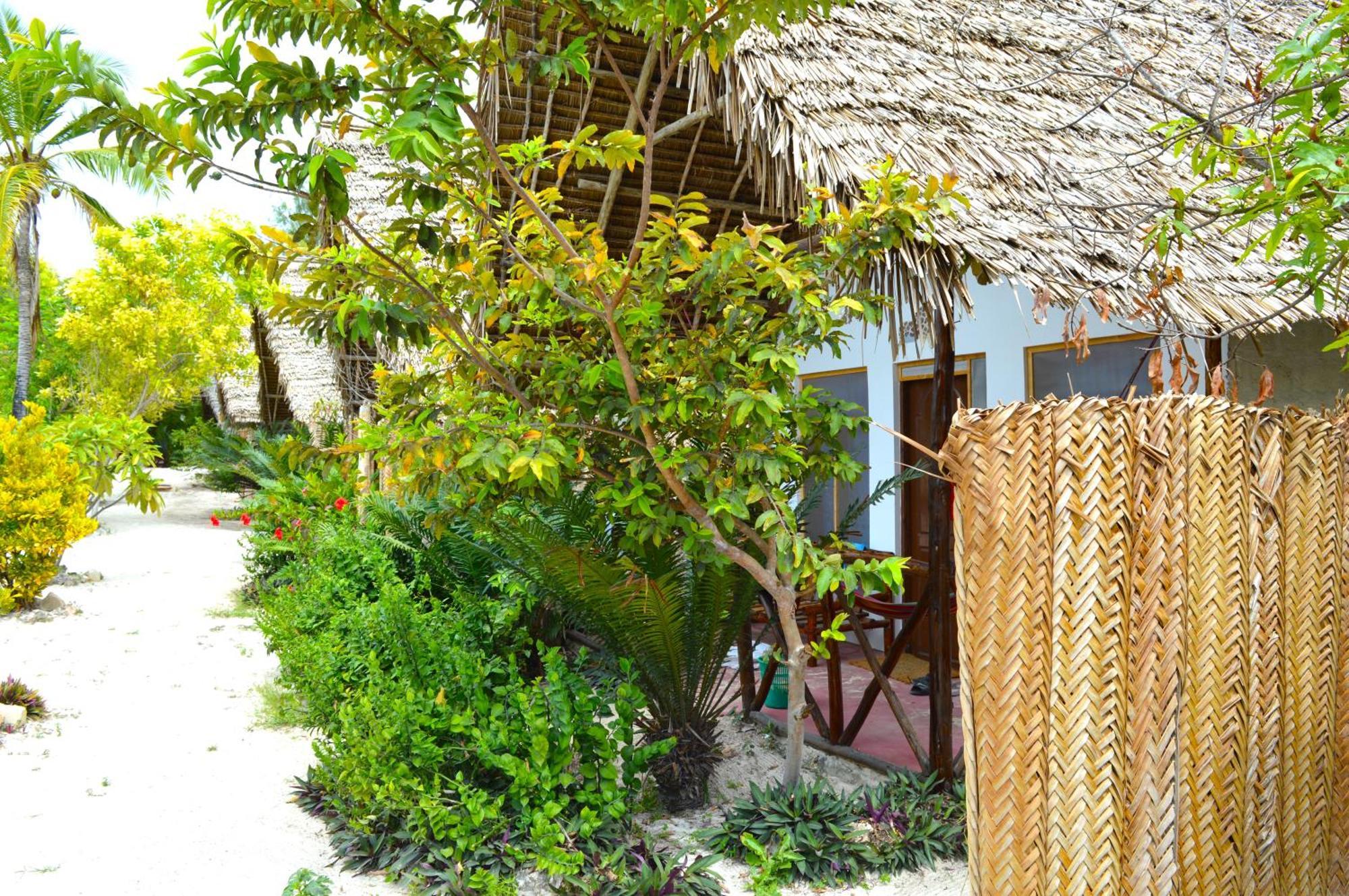 New Jambo Bungalows Paje Eksteriør billede