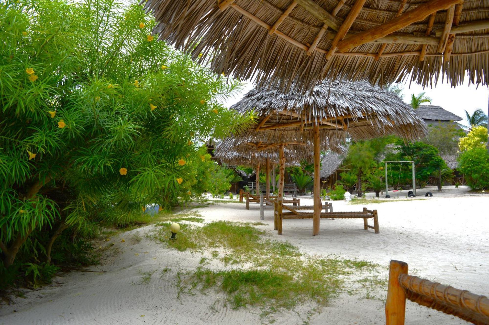 New Jambo Bungalows Paje Eksteriør billede