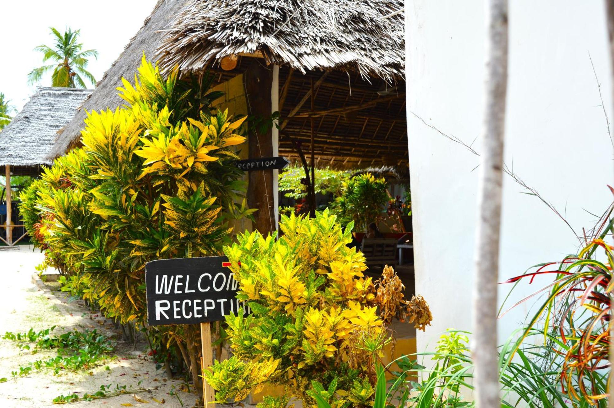 New Jambo Bungalows Paje Eksteriør billede