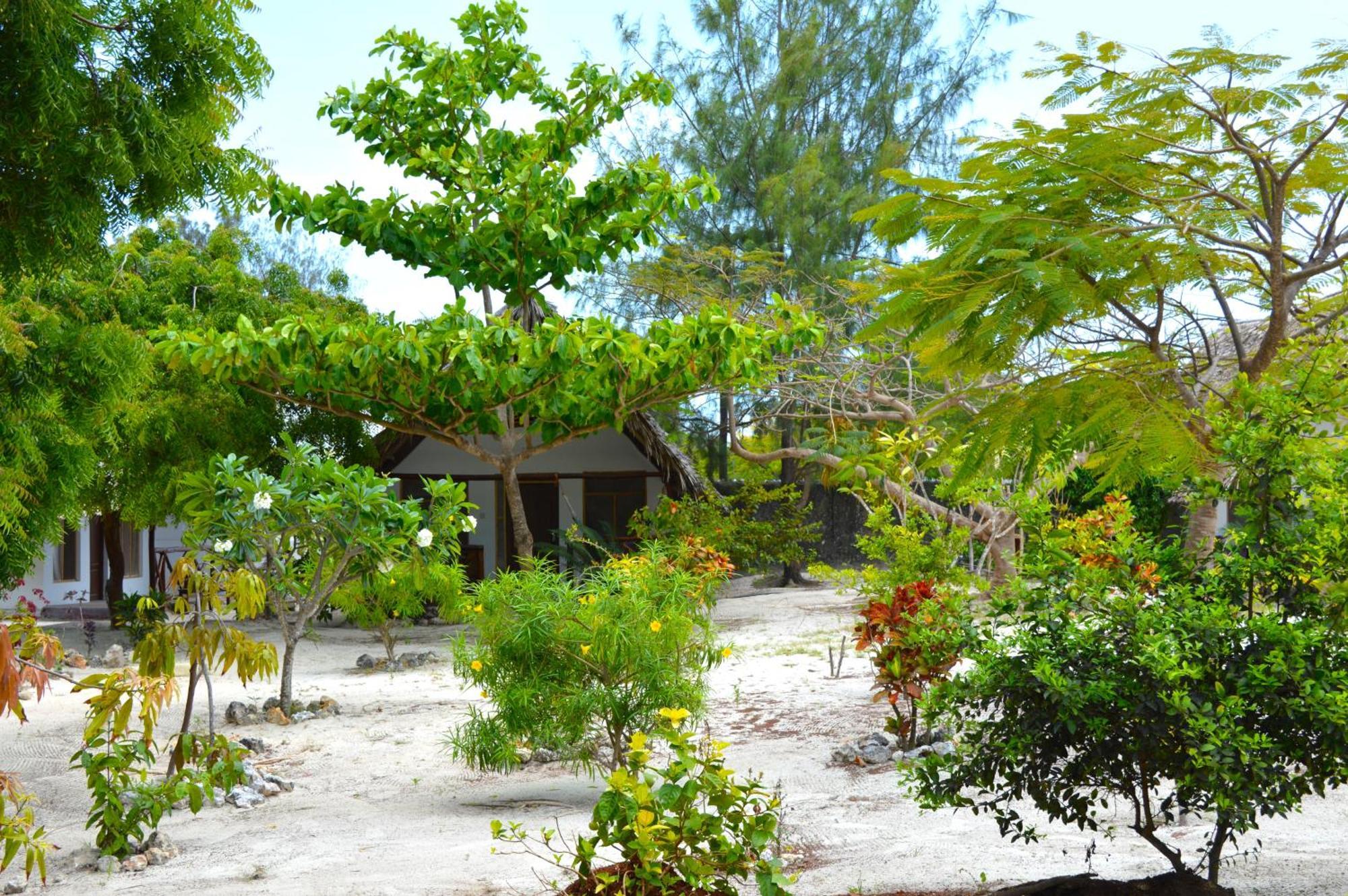 New Jambo Bungalows Paje Eksteriør billede