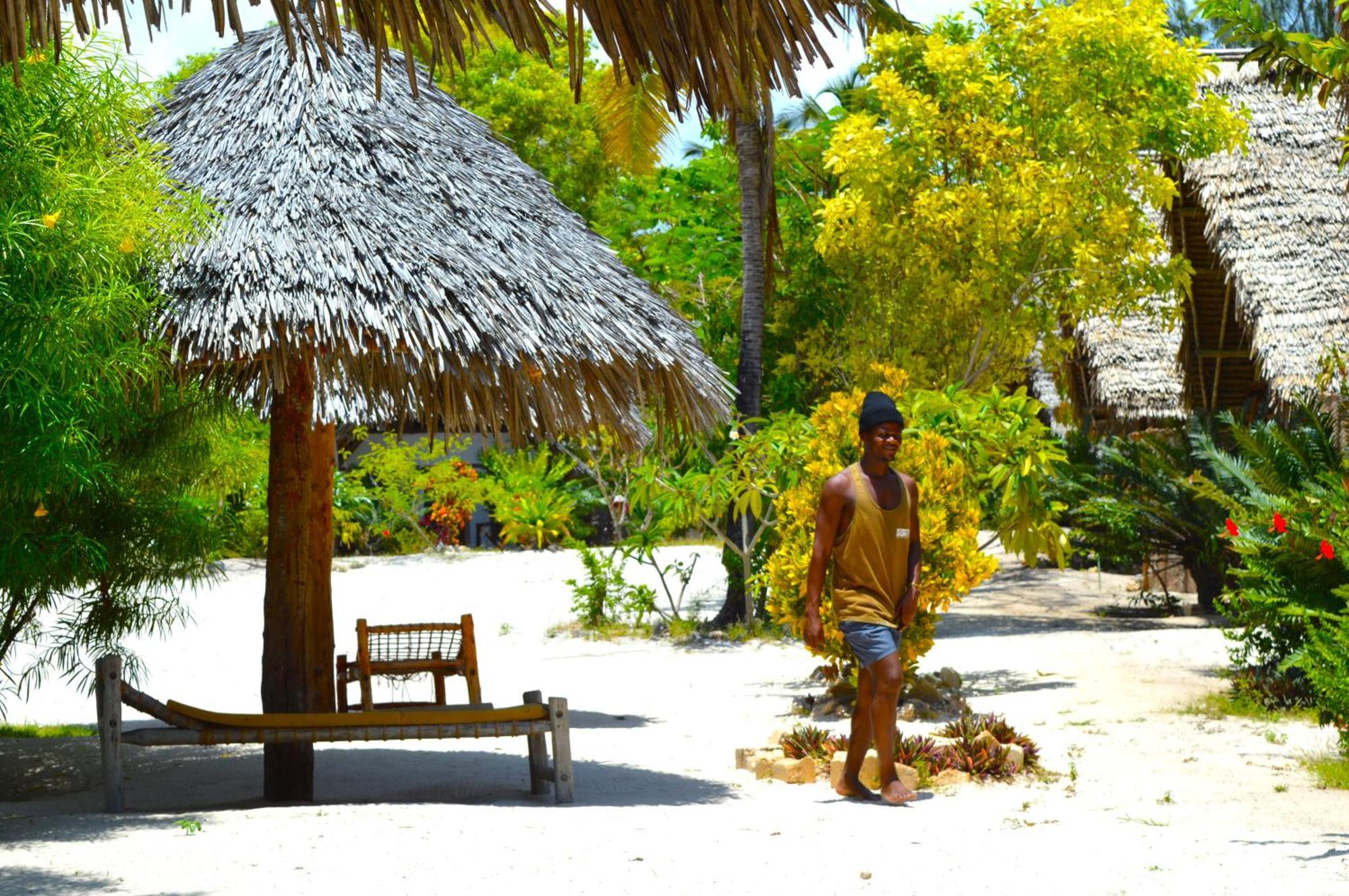 New Jambo Bungalows Paje Eksteriør billede