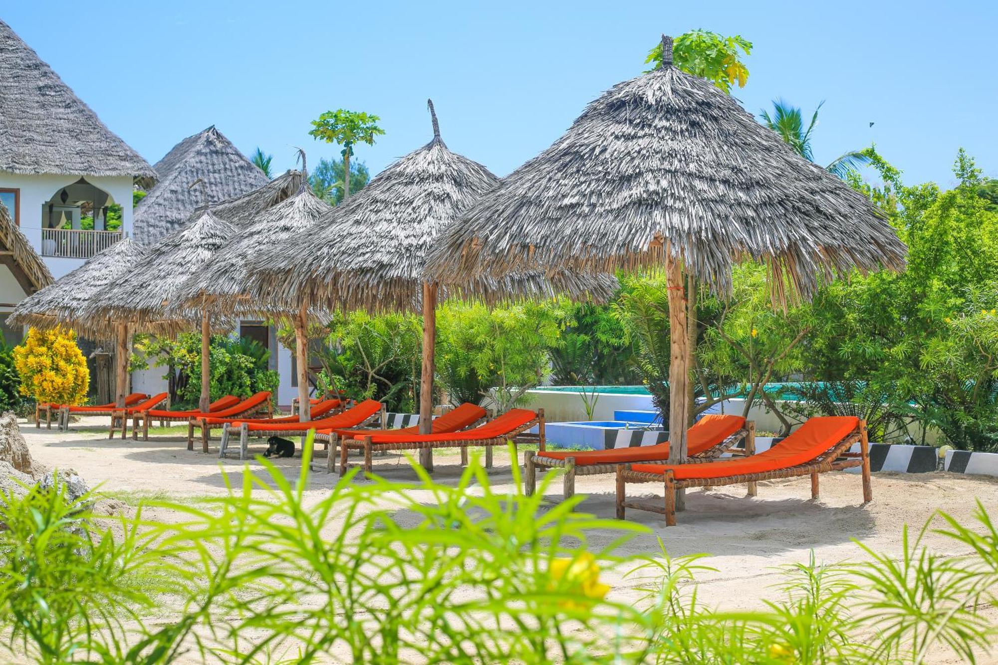 New Jambo Bungalows Paje Eksteriør billede