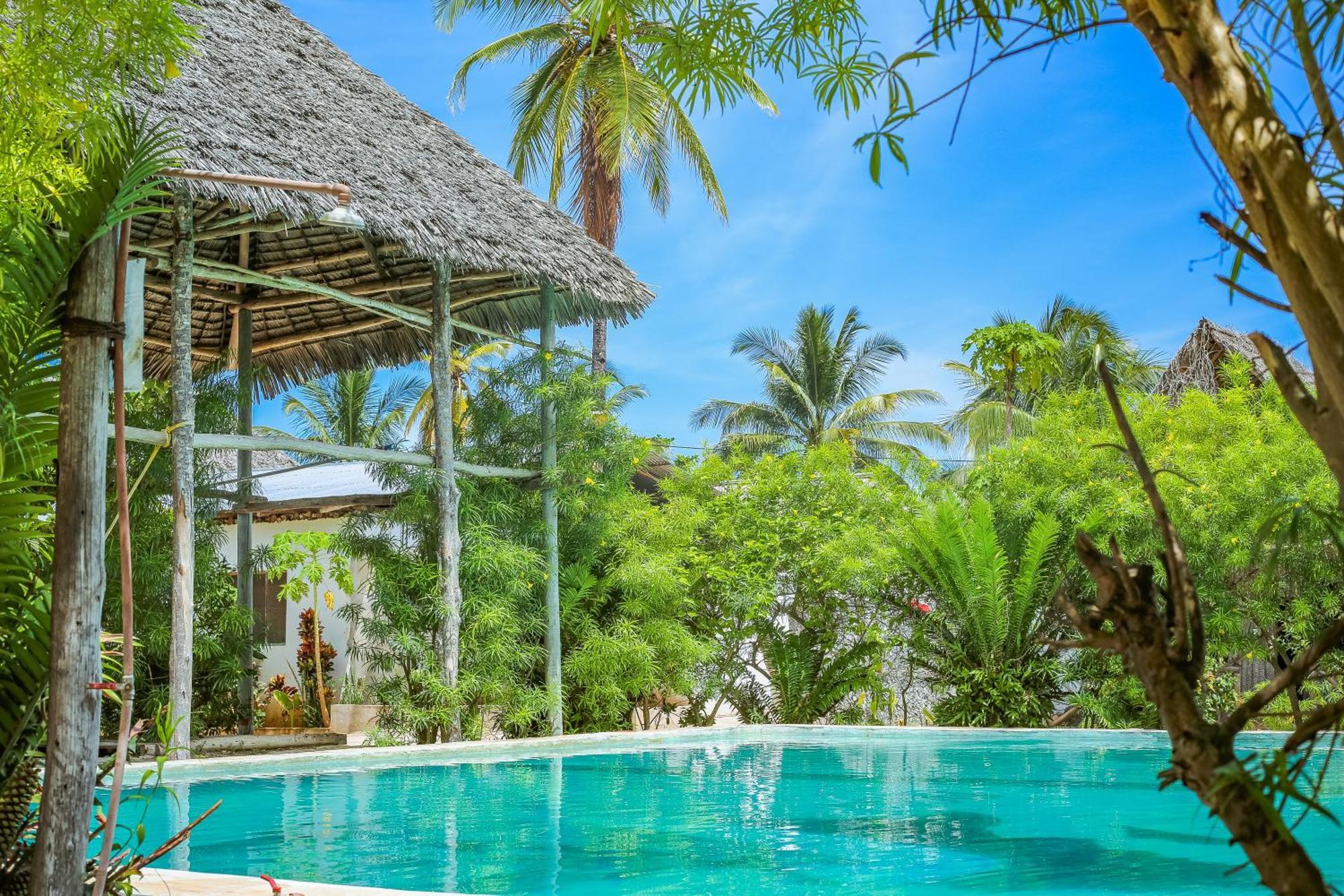 New Jambo Bungalows Paje Eksteriør billede